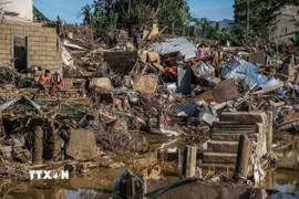 Cảnh ngổn ngang sau bão Kalmaegi tại tỉnh Cebu, Philippines ngày 5/11. (Ảnh: THX/TTXVN)