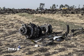 Hiện trường vụ rơi máy bay Boeing 737 MAX của Hãng hàng không Ethiopian Airlines gần Bishoftu, Ethiopia, ngày 11/3/2019. (Ảnh: AFP/TTXVN)