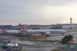 Máy bay tại sân bay quốc tế John F. Kennedy (JFK) tại New York City (Mỹ) ngày 5/11/2025. (Ảnh: THX/TTXVN)