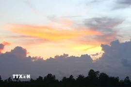 Bình yên trên những cánh đồng chớm lũ ở Cần Thơ