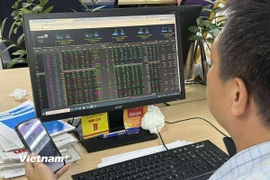 Ảnh minh họa. (Nguồn: Vietnam+)