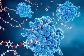 (Ảnh minh họa. Nguồn: Getty images)