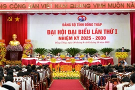 Quang cảnh Đại hội đại biểu Đảng bộ tỉnh Đồng Tháp lần thứ nhất, nhiệm kỳ 2025-2030. Ảnh: Hữu Chí – TTXVN