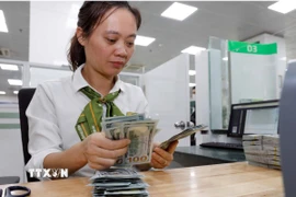 Kiểm đếm đồng USD tại Vietcombank. (Ảnh: Trần Việt/TTXVN)