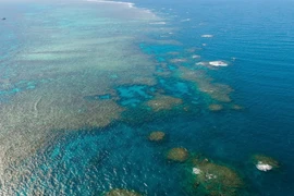 Rạn san hô Great Barrier tại Queensland, Australia. (Ảnh: THX/TTXVN)