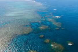 Rạn san hô Great Barrier tại Queensland, Australia. (Ảnh: THX/TTXVN)