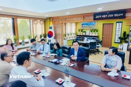 Quang cảnh buổi làm việc. (Ảnh: Duy Anh/Vietnam+)