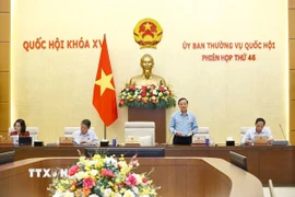 Phó Chủ tịch Quốc hội Nguyễn Khắc Định phát biểu. (Ảnh: Doãn Tấn/TTXVN)