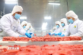 Thịt bò của Công ty Trách nhiệm hữu hạn Pacow International được đánh giá cao tại thị trường Halal nhờ đáp ứng nghiêm ngặt tiêu chuẩn về vệ sinh, quy trình giết mổ và sự minh bạch trong chuỗi cung ứng. (Ảnh: Minh Phú/TTXVN)