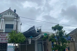 (Ảnh minh họa. Hoàng Ngà/TTXVN)