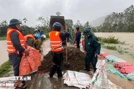 Ôtô chở đá bây, cát cho vào bao tải gia cố đê sông Thị Long thuộc phường Ngọc Sơn (Thanh Hóa). (Ảnh: Việt Hoàng/TTXVN)