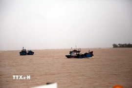 Huy động tàu cá tổ chức tìm kiếm các nạn nhân mất tích trên hai tàu cá bị chìm. (Ảnh: Tá Chuyên/TTXVN)