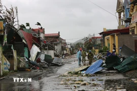 Nhà cửa của người dân tại xã Hoằng Giang (Thanh Hóa) bị gió bão đánh sập và tốc mái ngổn ngang. (Ảnh: Việt Hoàng/TTXVN)