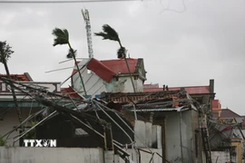 1-2 cơn bão trong tháng 10 có thể ảnh hưởng đến đất liền Việt Nam. (Ảnh: Việt Hoàng/TTXVN)