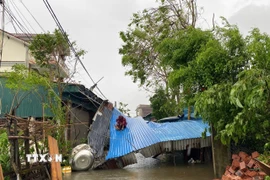Mái tôn của nhiều hộ dân tại xã Nghi Xuân bị bão làm đổ sập. (Ảnh: Hữu Quyết/TTXVN)
