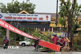Người dân Hà Tĩnh dồn sức khắc phục thiệt hại do bão số 10. (Ảnh: Hoàng Ngà/TTXVN)