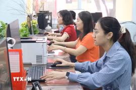 Ảnh minh họa. (Nguồn: TTXVN)