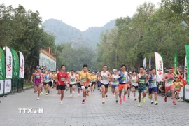 (Ảnh minh họa. Thùy Dung/TTXVN)