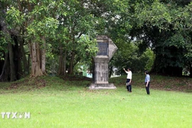 Cây đa Tân Trào, nơi Đại tướng Võ Nguyên Giáp đọc bản Quân lệnh số 1, làm lễ xuất quân tiến về giải phóng Thủ đô Hà Nội. (Ảnh: Quang Cường/TTXVN)