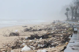 Nhiều loại rác thải dạt vào bãi tắm Trung Giang, xã Bến Hải (Quảng Trị) sau mưa bão. (Ảnh: Tường Vi/TTXVN)