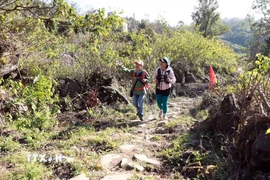 Đường đá cổ Pavi hướng đi từ xã Sin Suối Hồ, tỉnh Lai Châu sang xã Dền Sáng, tỉnh Lào Cai. (Ảnh: Quý Trung/TTXVN)