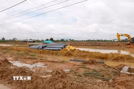 (Ảnh minh họa. Nguyễn Thanh/TTXVN)