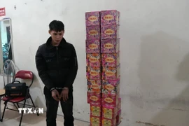 Đối tượng Hà Văn Giáp cùng số pháo hoa tang vật. (Ảnh: TTXVN phát)