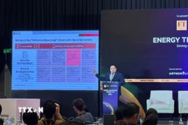 Diễn giả Pandu Sjahrir CEO Danantara (Indonesia) trình bày những mục tiêu năng lượng trong tầm nhìn “Indonesia vàng 2045”. (Ảnh: Đỗ Quyên/TTXVN)