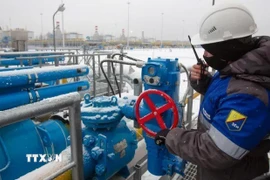 Trạm nén khí đốt Slavyanskaya trong hệ thống đường ống dẫn khí đốt Dòng chảy phương Bắc 2 ở Ust-Luga (Nga). (Ảnh: Getty Images/TTXVN)