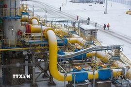 Hệ thống đường ống dẫn khí đốt tự nhiên Nord Stream 2 ở Ust-Luga, Nga. (Ảnh: Bloomberg/TTXVN)