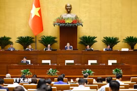 Chủ tịch Quốc hội Trần Thanh Mẫn chủ trì phiên họp. (Ảnh: Doãn Tấn/TTXVN)