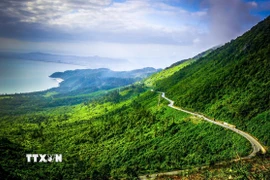 Cung đường trên đèo Hải Vân uốn lượn như những dải lụa vắt ngang qua. (Ảnh: Văn Dũng/TTXVN)