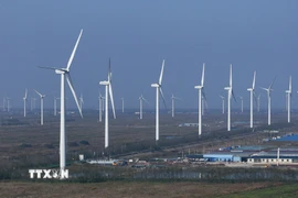 (Ảnh minh họa. THX/TTXVN)