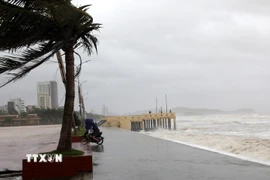 Mưa lớn ở khu vực Bắc Bộ, từ Thanh Hóa đến Hà Tĩnh