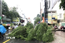 (Ảnh minh họa. Nguyễn Văn Việt/TTXVN)