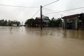 Nước lũ bủa vây nhiều khu vực ở hạ du sông Bồ, trong đó có xã Đan Điền, thành phố Huế. (Ảnh: Đỗ Trưởng/TTXVN)