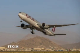Máy bay của Hãng hàng không Qatar Airways. (Ảnh: AFP/TTXVN)