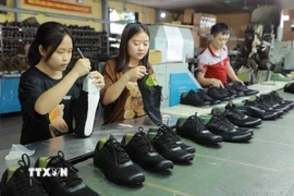 Việt Nam xuất khẩu sang Paraguay các sản phẩm giày dép, dệt may, lốp ôtô, đồ điện tử. Trong ảnh: Sản xuất giày tại Công ty TNHH giầy Trường Xuân ở cụm Công nghiệp Cam Thượng, xã Cam Thượng, huyện Ba Vì, Hà Nội. (Ảnh: Vũ Sinh/TTXVN)