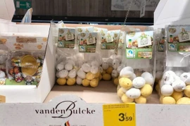 (Ảnh minh họa. Hương Giang/TTXVN)