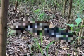 Quảng Ninh: Phát hiện thi thể một phụ nữ đang phân hủy trên đỉnh đồi