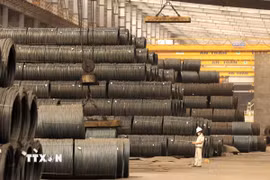Trong năm 2024, cả nước xuất khẩu khoảng 12,62 triệu tấn thép. (Ảnh: Tuấn Anh/TTXVN)