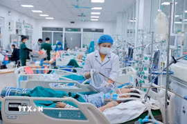 Thời gian gần đây, xuất hiện nhiều ca mắc cúm bị diễn biến nặng, thậm chí nguy kịch; đa số là người có bệnh nền, không kiểm soát tốt bệnh nền. (Ảnh: Minh Quyết/TTXVN)