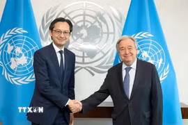 Đại sứ Đỗ Hùng Việt hội kiến Tổng thư ký Liên hợp quốc António Guterres. (Ảnh: Thanh Tuấn/TTXVN)