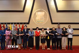 Việt Nam đồng chủ trì cuộc họp Ủy ban Hợp tác chung ASEAN-New Zealand