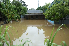 Mưa lớn gây ngập úng cục bộ nhiều nơi trên địa bàn tỉnh Tuyên Quang. (Ảnh: Quang Cường/TTXVN)