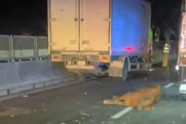 Đàn bò thoát khỏi xe tải gây tai nạn trên cao tốc Vĩnh Hảo-Phan Thiết