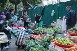 Các “chợ cóc”, điểm kinh doanh tự phát lấn chiếm lòng đường, vỉa hè, là “điểm nóng” gây mất an toàn giao thông, trật tự đô thị, bức xúc dư luận. (Ảnh: Phan Phương/TTXVN)