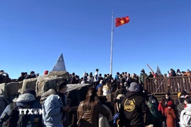 Đông đảo du khách chinh phục đỉnh Fansipan những ngày Tết. (Ảnh minh họa. Quốc Khánh/TTXVN)