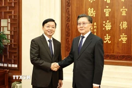 Phó Thủ tướng Trần Hồng Hà (trái) hội kiến Phó Ủy viên trưởng Nhân đại toàn quốc Trung Quốc Vương Đông Minh. (Ảnh: Công Tuyên/TTXVN)