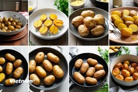 (Ảnh: Vietnam+)